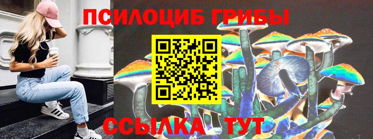 Галлюциногенные грибы Psilocybine cubensis Димитровград