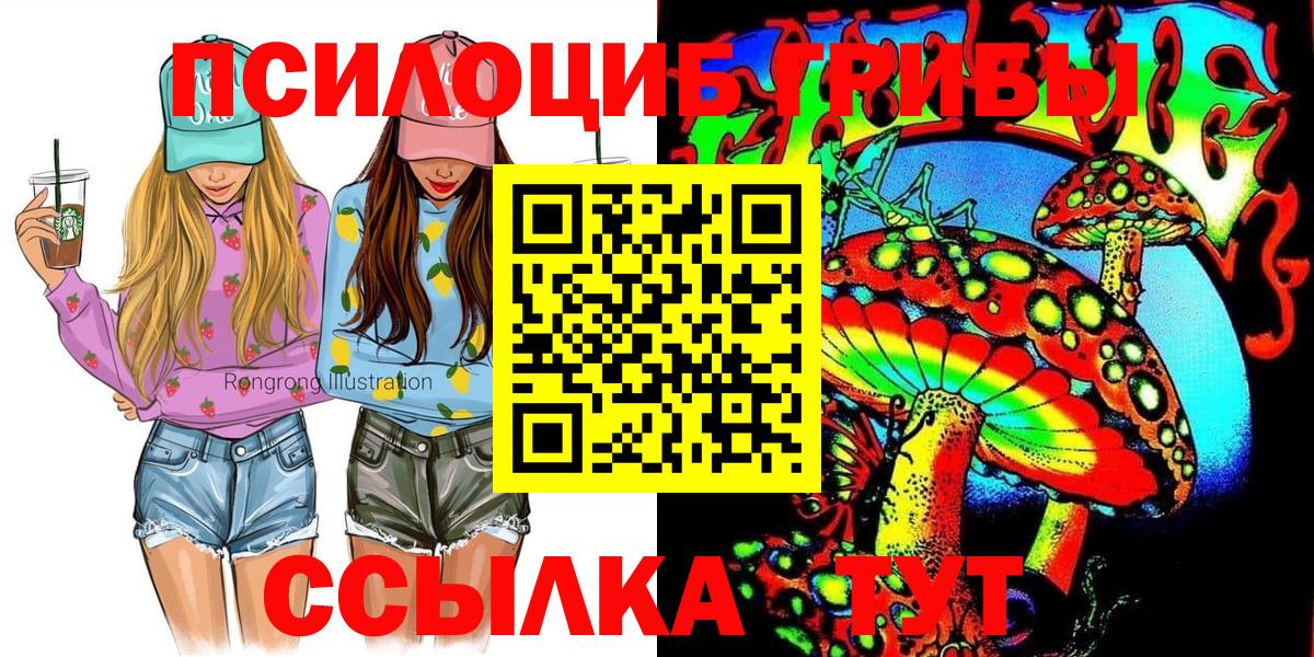 Галлюциногенные грибы Cubensis  Вход с VPN  Галлюциногенные грибы Psilocybe  Димитровград 